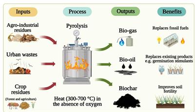 Frontiers | Biochar: An Emerging Recipe For Designing Sustainable ...